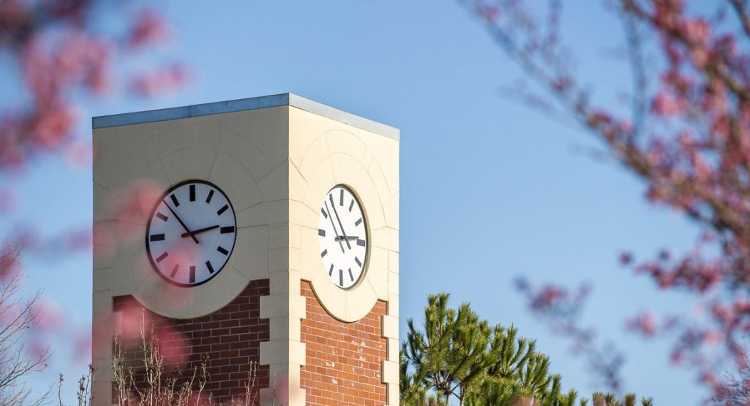 clock tower in spring