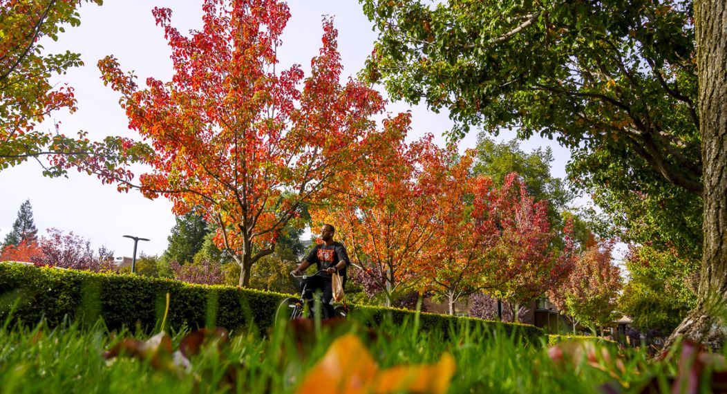 a student rides a bike on campus with fall colors in the background