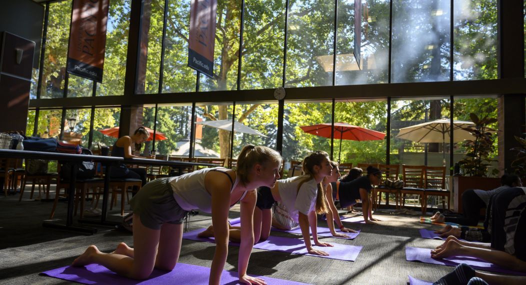 students participate in a yoga class