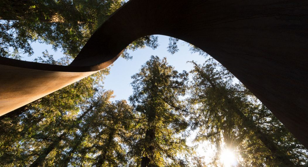 Among the trees of the Redwood Grove is one of UOP's most interesting sculptures. The Möbius Strip was built as a memorial for several members of the Pacific community who had passed away unexpectedly. Today its flame-like shape serves as a symbolic eternal flame to honor the memory of all Pacific community members who have passed away.