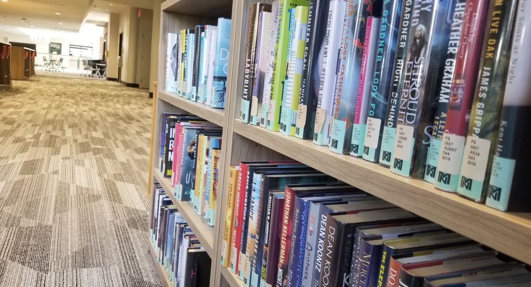 Bookcase in the library