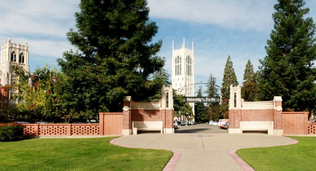 Undergraduate Search