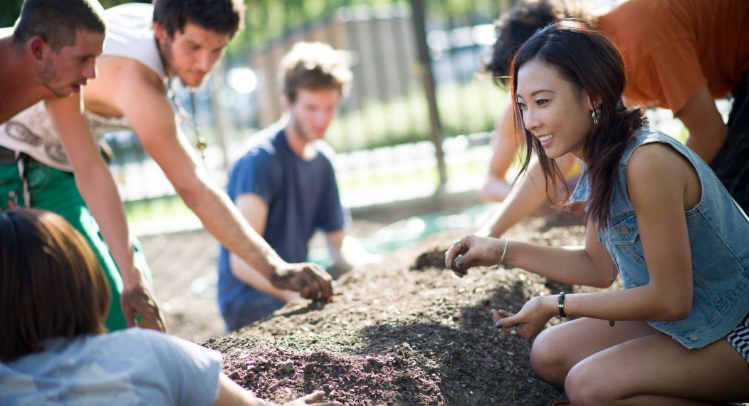 students and staff work in the Robb Garden