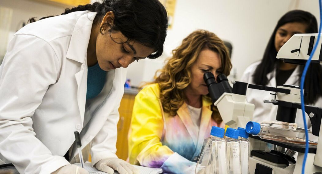 Students working in the lab