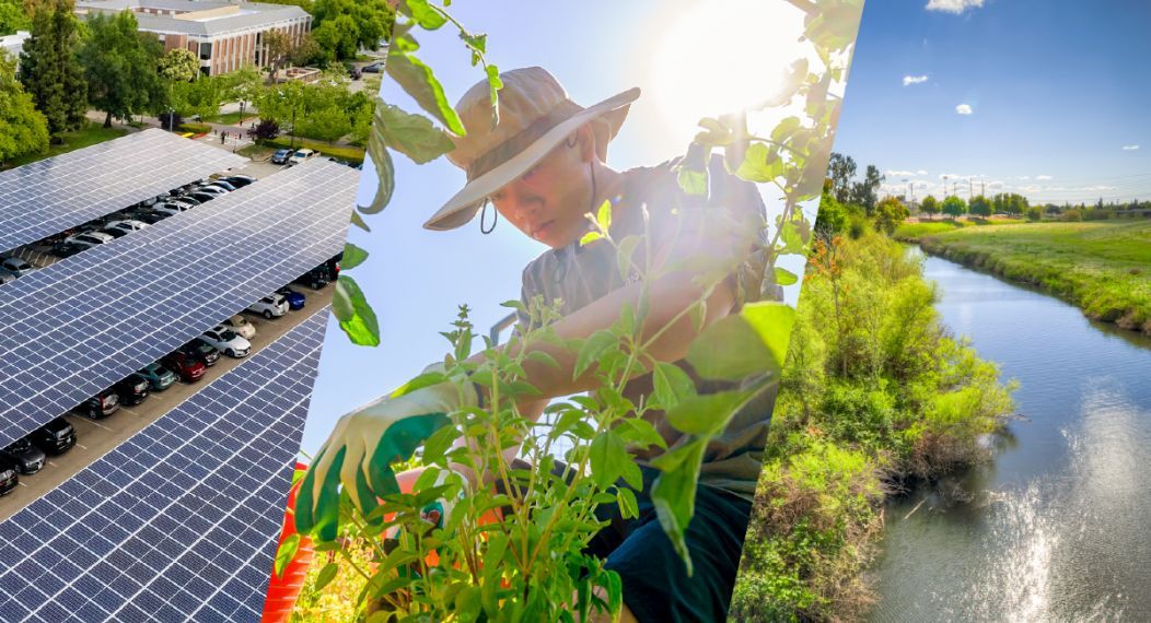 Collage of university sustainability practices, from food to solar and water
