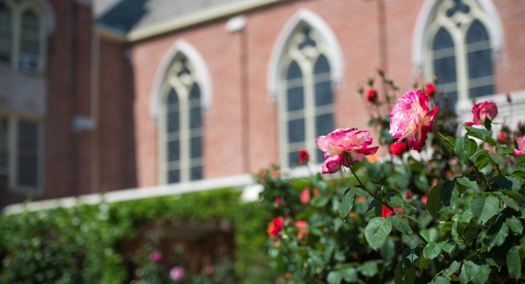 roses outside morris chapel