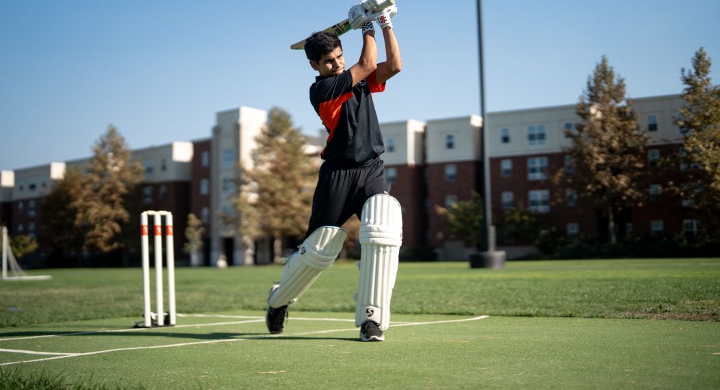 cricket