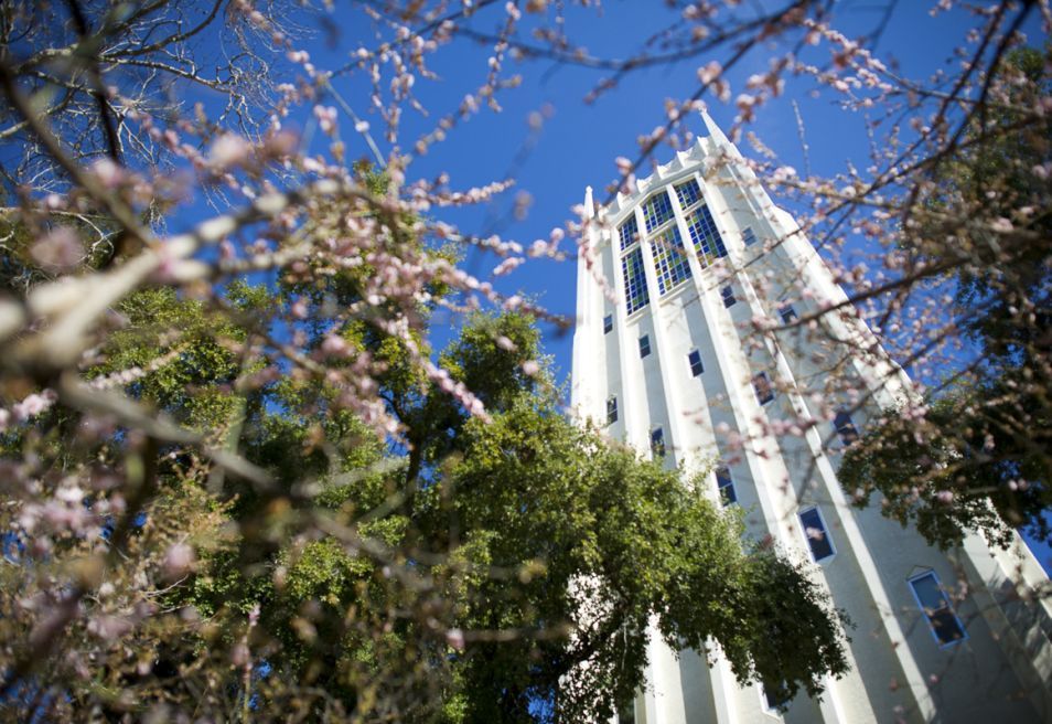 About Pacific  University of the Pacific