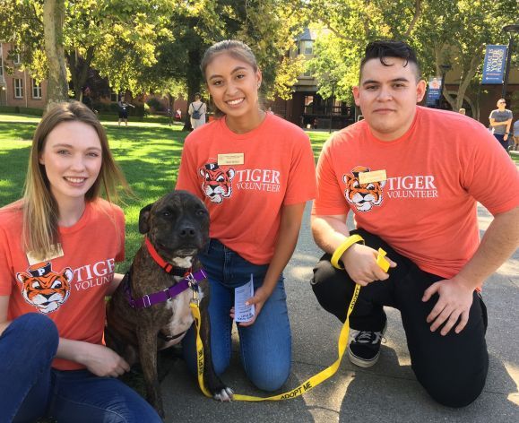 Volunteers with a dog