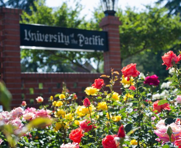 campus Rose garden