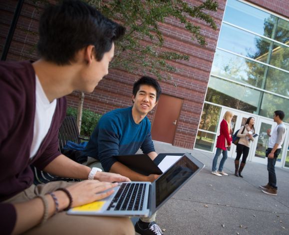 Students using laptops