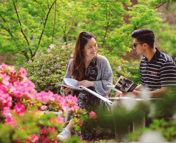 Students sitting outdoors, studying