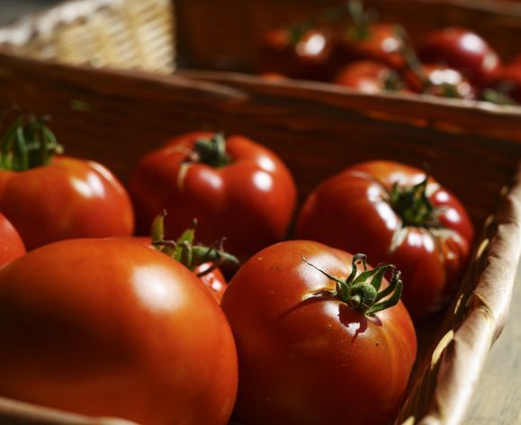 Tomatos