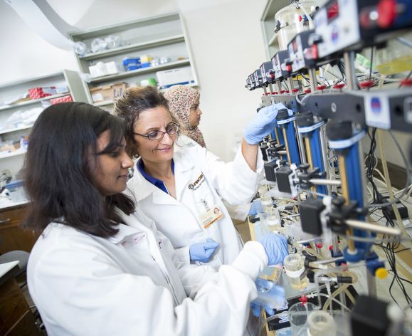 Roshanak Rahimian in lab with Pharmaceutical and Chemical Sciences Program graduate student