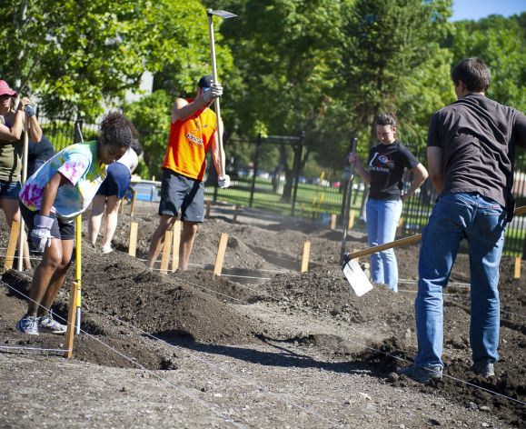 students working in Robb Garden