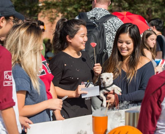 students at club fair