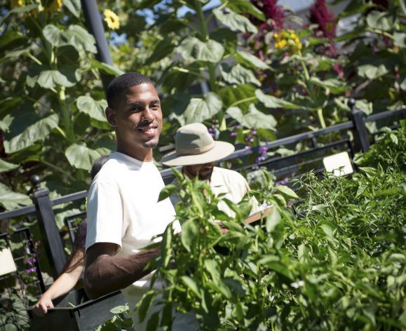 student picking vegetables