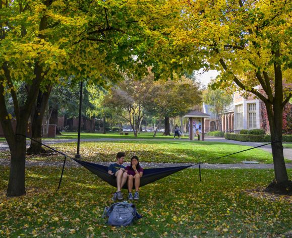 students sitting in hammock