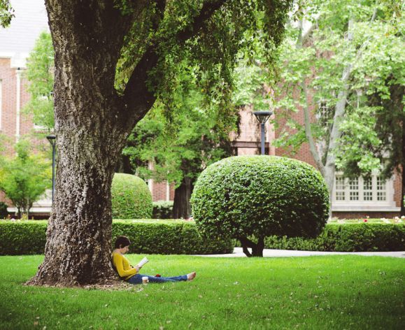 student sitting on lawn