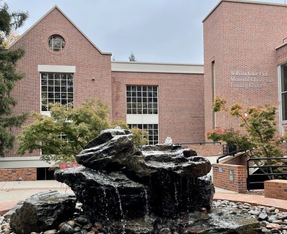 the fountain in front of the library