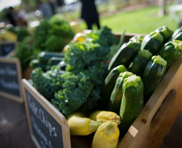 vegetables from the Robb Garden