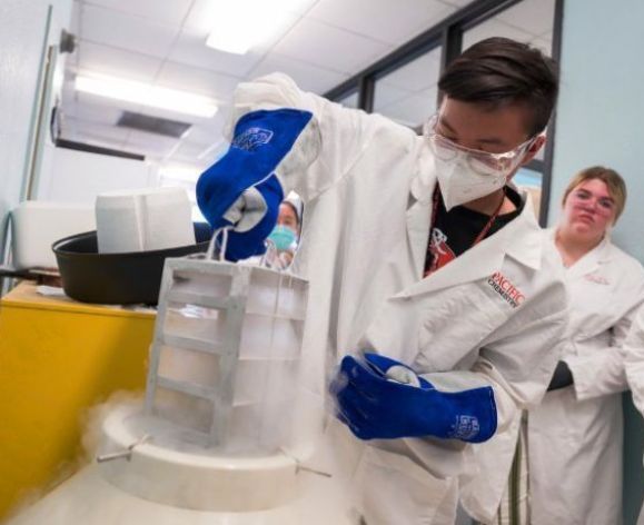 students in summer institute curing cancer course