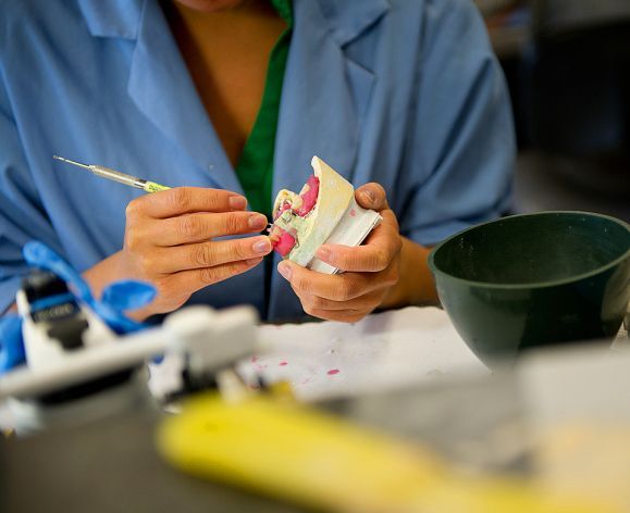 dental student working on a model