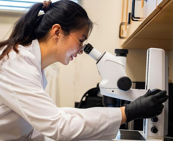 student looking at microscope