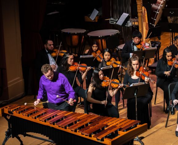 an orchestra performs