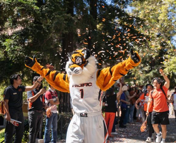 tiger cat with arms open wide