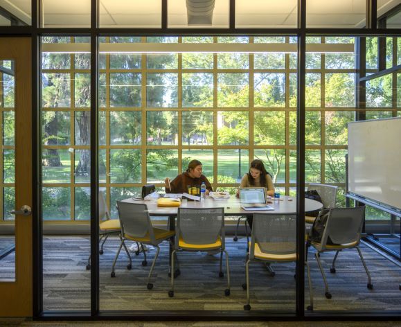 students in a study room in the Stockton Campus Library