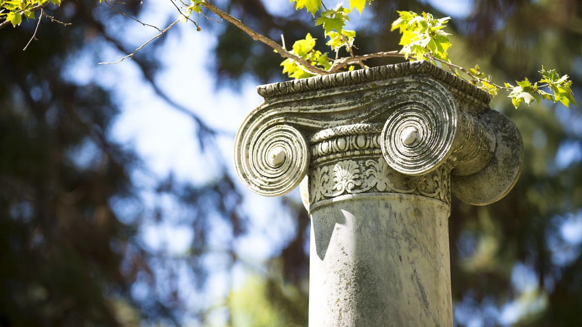 column with ivy