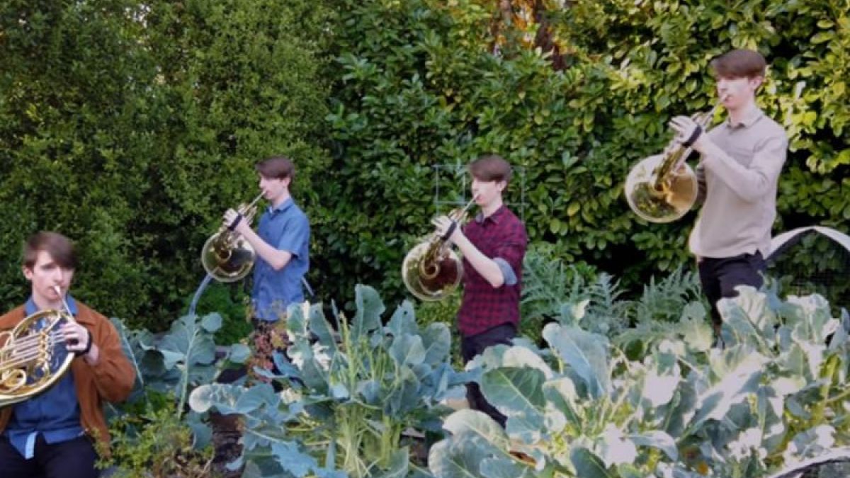 content.field_image.alt