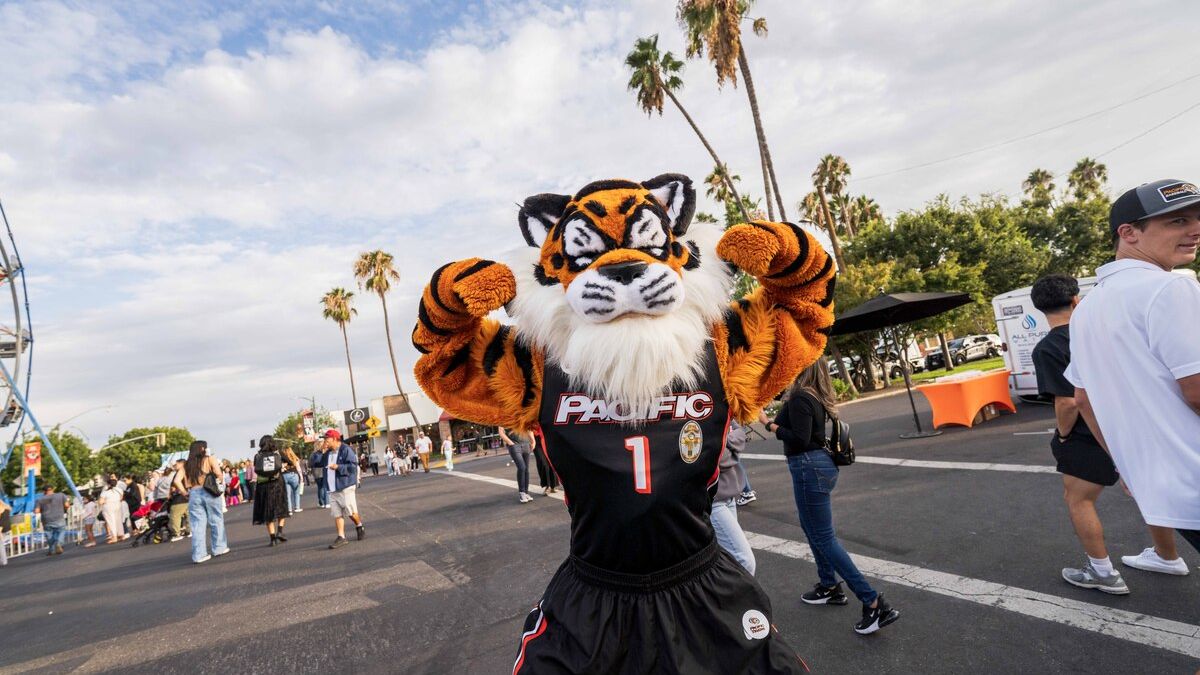 PowerCat