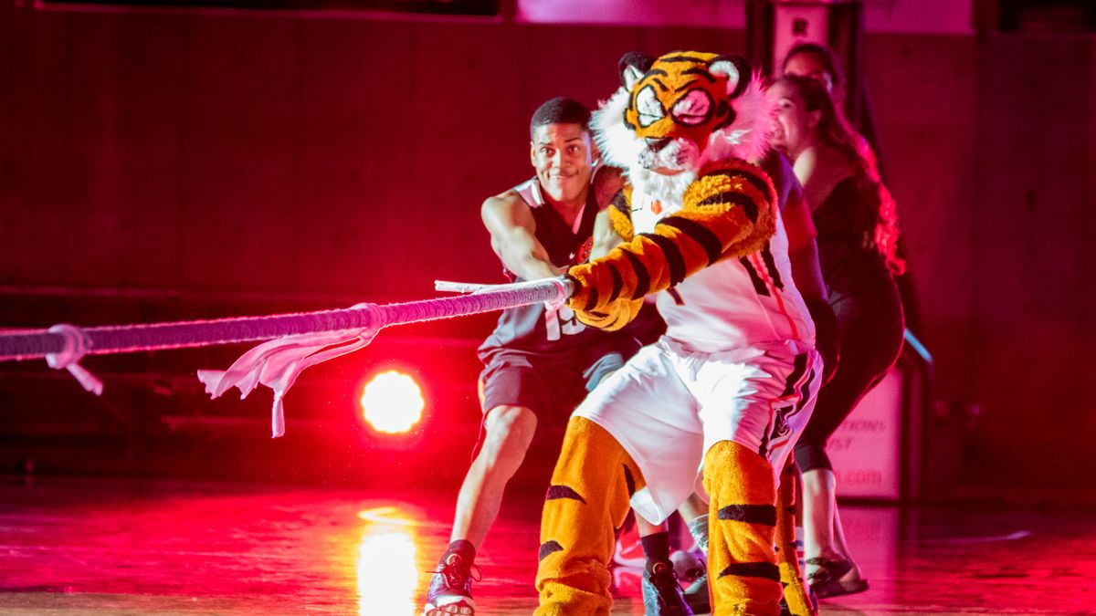 Powercat