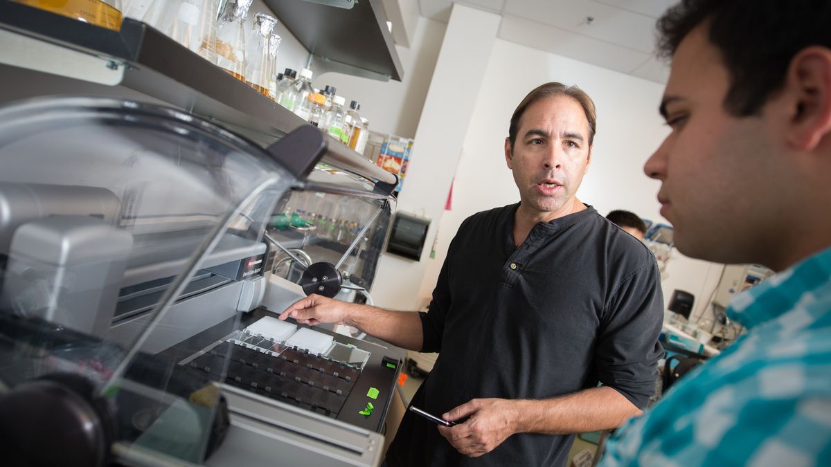 Microarray Tech