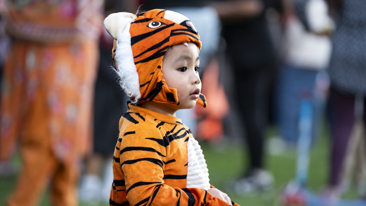 content.field_image.alt