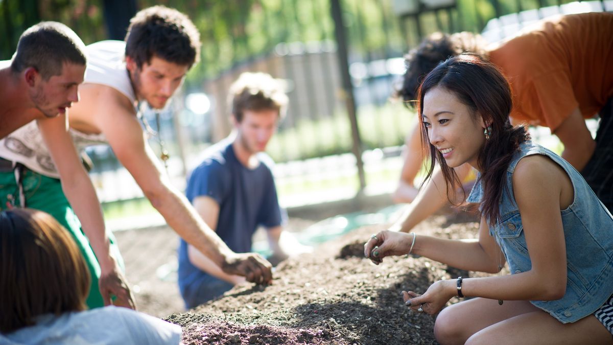 students harvest fresh-grown fruits and vegetables