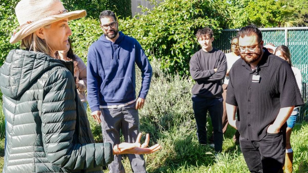 content.field_image.alt